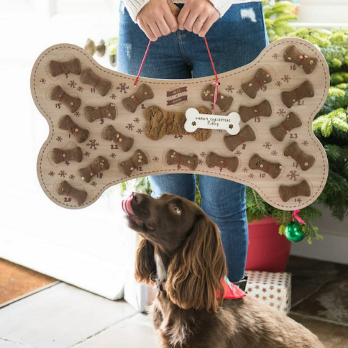 The Best Dog Advent Calendars UK 2021